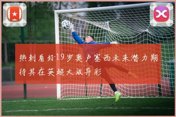 热刺看好19岁奥卢塞西未来潜力期待其在英超大放异彩