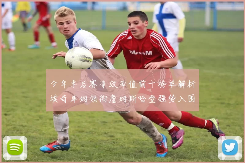 今年季后赛净效率值前十榜单解析埃奇库姆领衔詹姆斯哈登强势入围