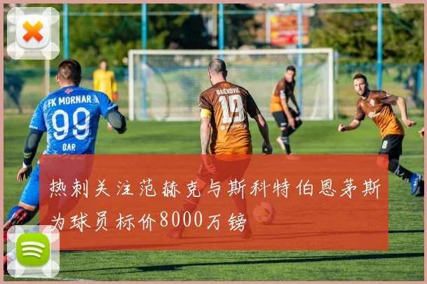热刺关注范赫克与斯科特伯恩茅斯为球员标价8000万镑